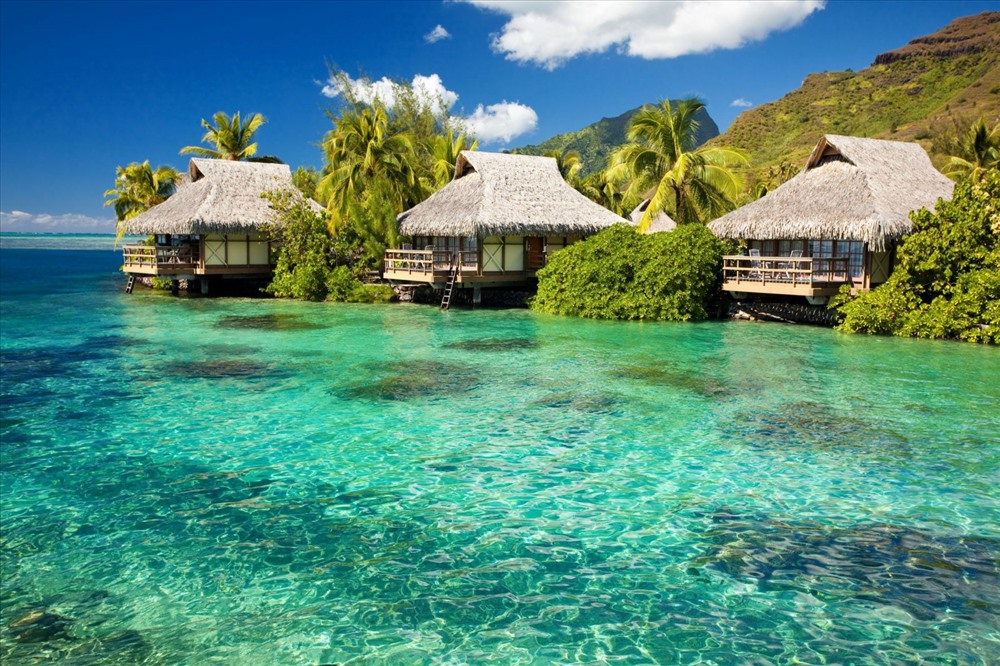 Với những resort nằm dọc bờ biển có thiết kế đẳng cấp 5 sao vô cùng tiện nghi.