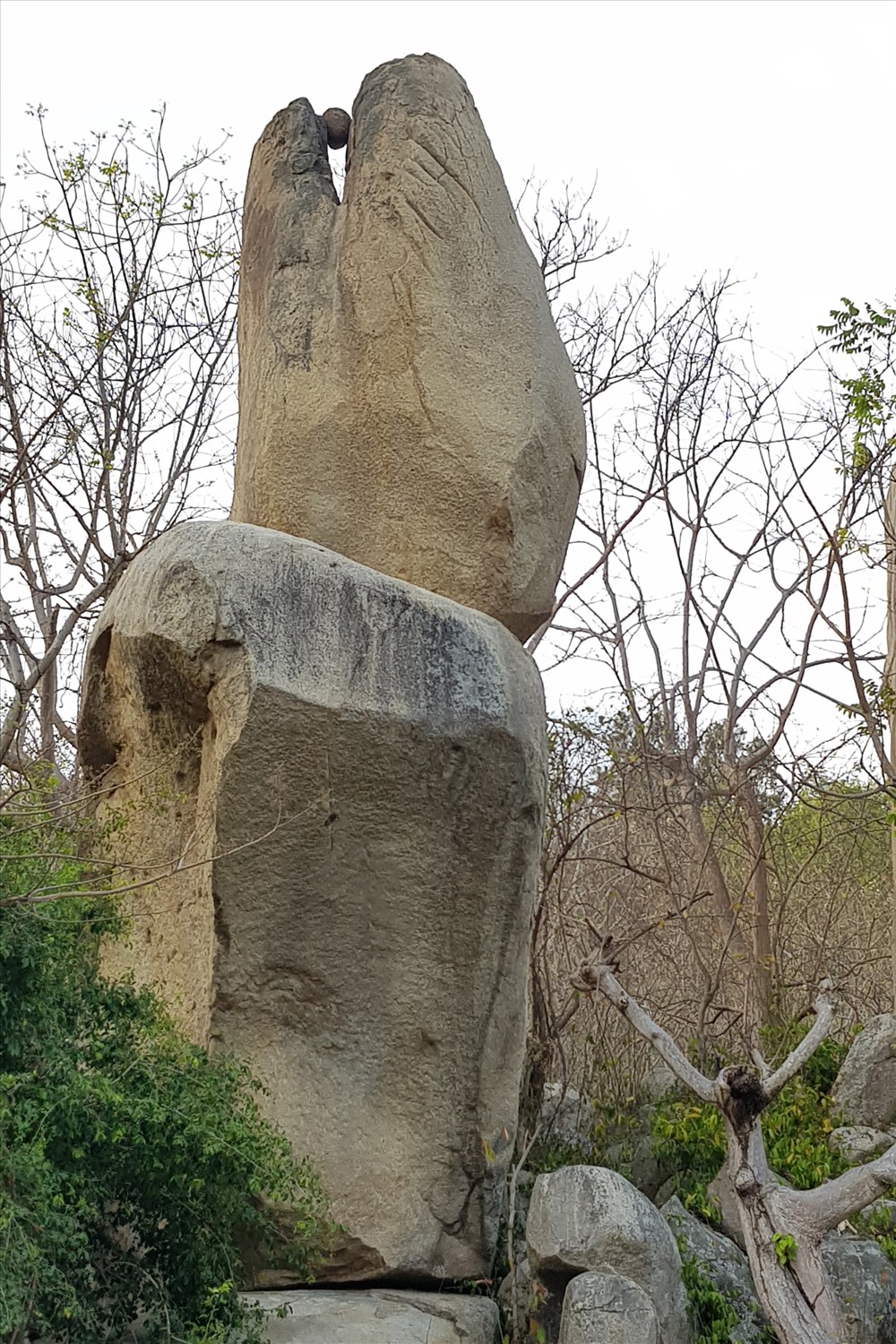 Viên đá hình đầu rắn ngậm ngọc.