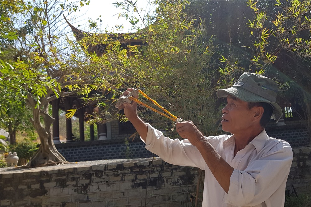 Ông già dùng súng cao su đang bắn đuổi khỉ.