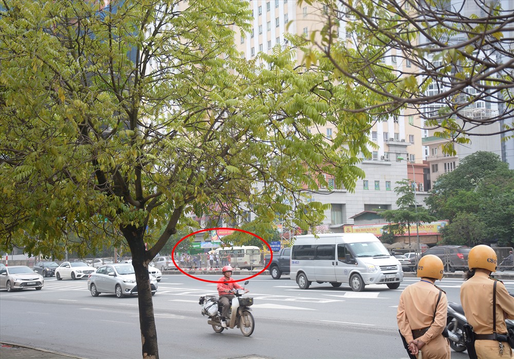 Dù lực lượng chức năng được tăng cường ở nhiều vị trí nhưng các nhà xe vẫn ngang nhiên dừng đỗ bắt khách giữa đường.