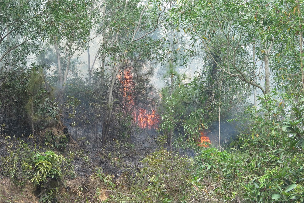 Không có chú thích