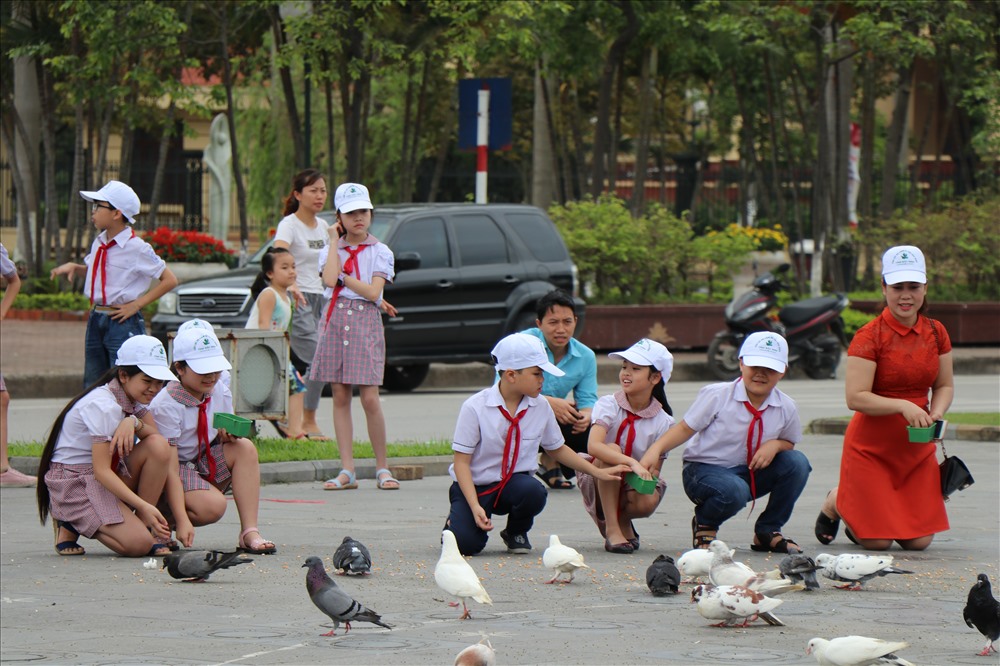 Đồng thời, yêu cầu mỗi người dân đề cao ý thức trách nhiệ, cùng chung tai góp sức để chim bồ câu trở thành nét văn hóa