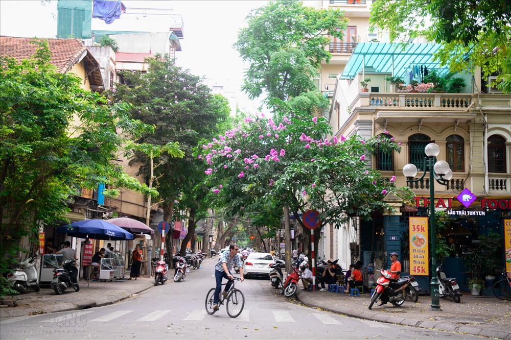 Hoa bằng lăng được yêu thích vì nhiều người cho rằng, loài hoa này là biểu tượng của tình yêu thuần khiết, nhẹ nhàng và ngây thơ. Màu tím tượng trưng cho sự chung thủy, chia ly và đợi chờ nên hoa bằng lăng như vương chút buồn nhẹ, man mác của sự chia cách.