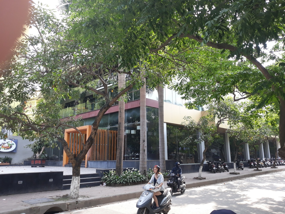 Nhà hàng Hải Sản Phố trải dài trên mương Phan Kế Bính, cùng với đó vỉa hè cũng được chiếm dụng làm chỗ để xe ho khách hàng