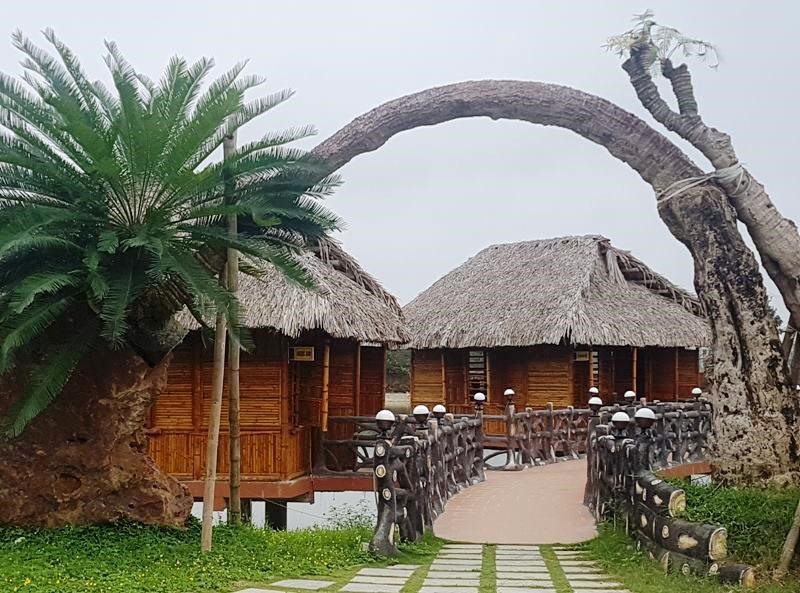 Khu ẩm thực, câu cá.