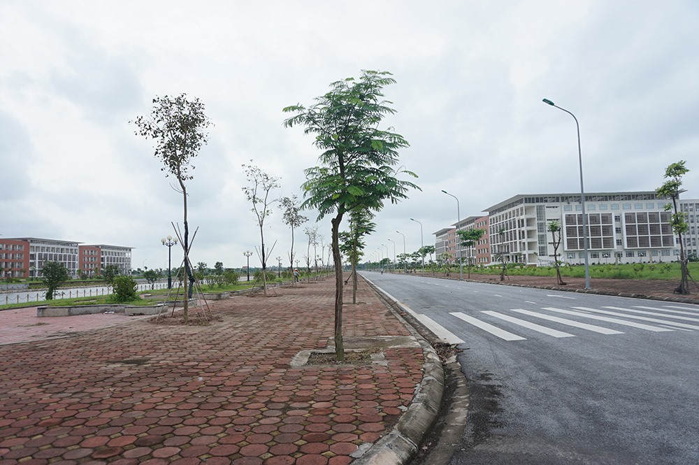 Trong đó, khu giảng đường hiện đại gồm 2 dãy nhà chạy dài quay mặt ra hồ nước lớn kè đá hình chữ nhật.