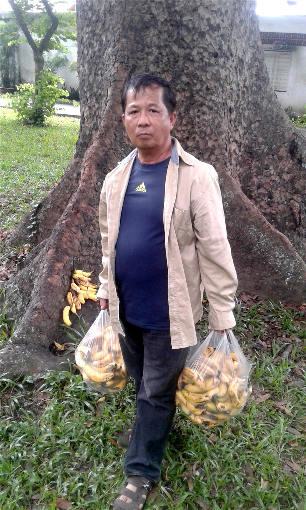 Ông Vang.