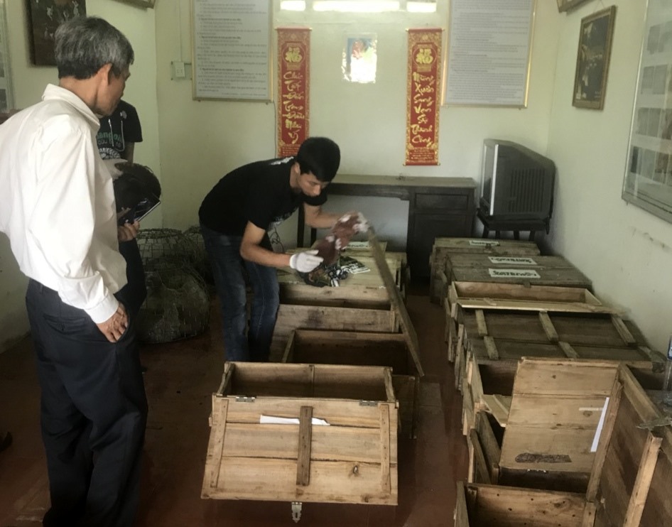 15 cá thể tê tê Java được cho vào từng thùng riêng để vận chuyển đến Rừng quốc gia Cúc Phương. Ảnh: HT.