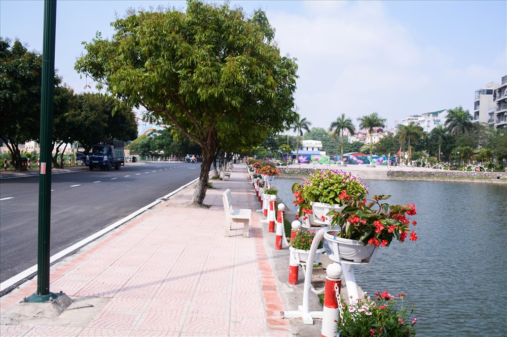 Nhiều loại hoa được trồng quanh hai lối đi.