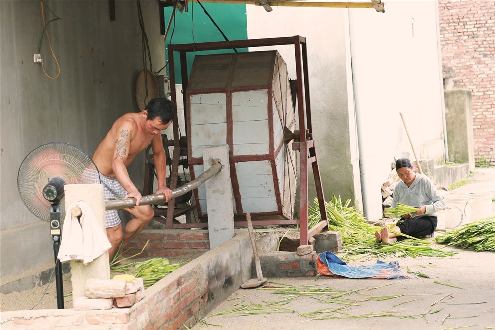 Lá sau khi mua về sẽ được vò trong cát cho mềm. Người vò lá phải khoẻ, hai chân phải dận thật nhanh và đều thì lá mới tơi mà không bị nát. Sau đó lá được cho vào máy quay cho tơi rồi đem tước xếp gọn bó thành từng bó nhỏ vừa người ôm.