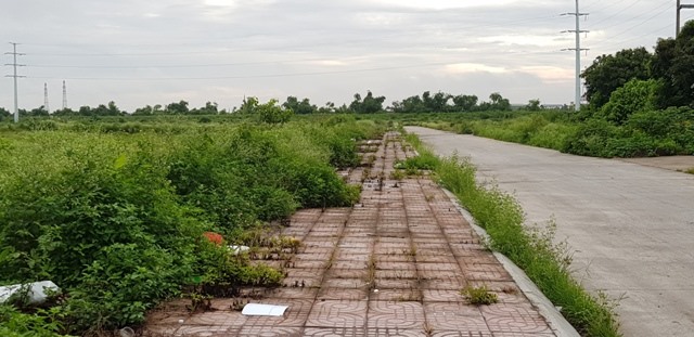 Vẻ hè được đầu tư xây dựng xong để cỏ mọc. Ảnh: NT
