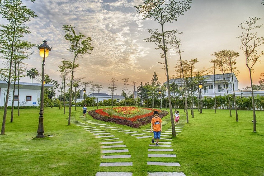 ... hay thỏa sức chơi đùa giữa khuôn viên tràn ngập màu xanh