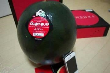 Dưa Densuke “sang chảnh” của vùng Hokkaido, Nhật Bản.
