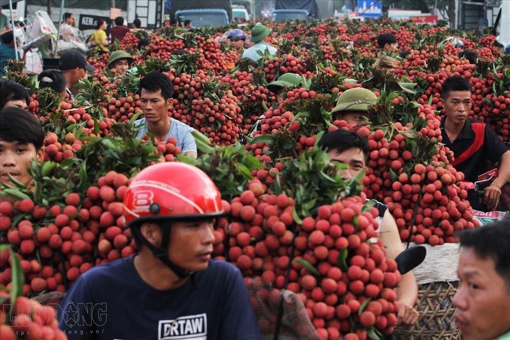 Quốc lộ 279 đọan cắt qua hai xã Tân Sơn và Cấm Sơn (huyện Lục Ngạn, tỉnh Bắc Giang) những ngày này thường xuyên diễn ra cảnh ùn tắc.