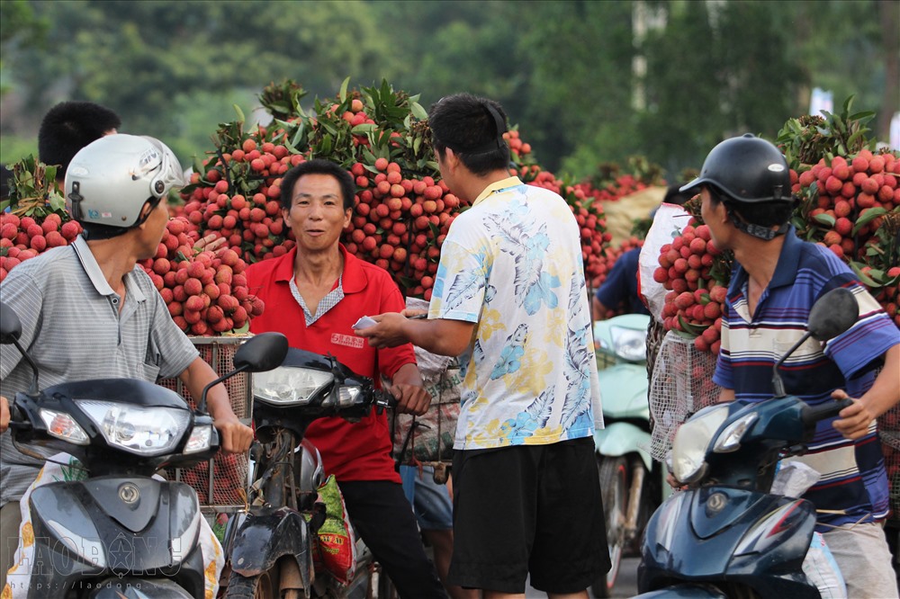 Trên đoạn đường này có nhiều điểm thu mua lẻ để “đón lõng” những xe vải đẹp, khiến giao thông luôn trong tình trạng đóng băng nhiều giờ.