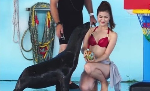 Diện bikini, Thu Hằng khiến nhiều người đỏ mặt
