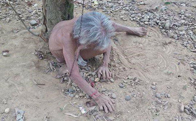 Cụ Cụt bị xích vào gốc cây.