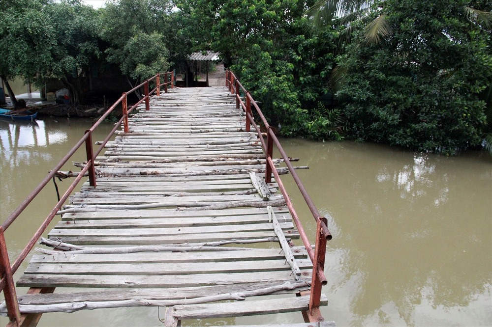 Hình ảnh cây cầu cũ bắc qua kênh Thất Giồng 4 được lát bằng thân tràm khiến đi lại rất khó khăn, ảnh hưởng lớn tới đời sống người dân và du lịch tại địa phương