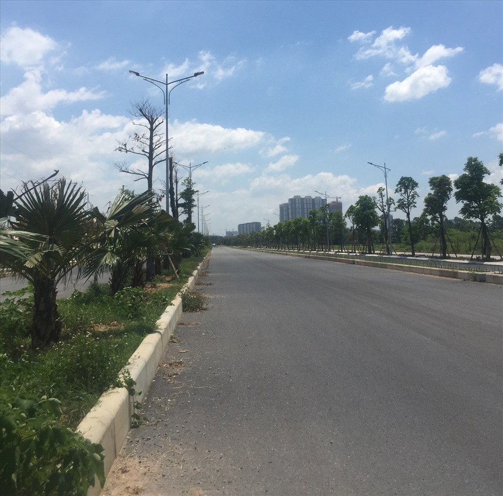 Cây xanh dọc tuyến đường đã được bao phủ toàn bộ