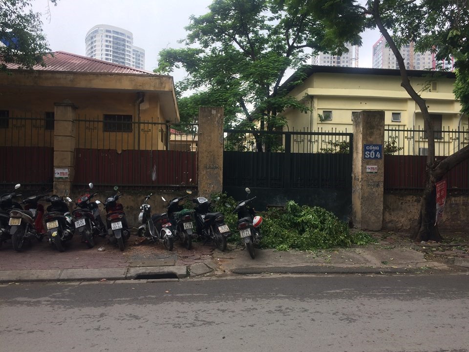 Cây sưa bị mất trộm chỉ còn sót lại vài cành.
