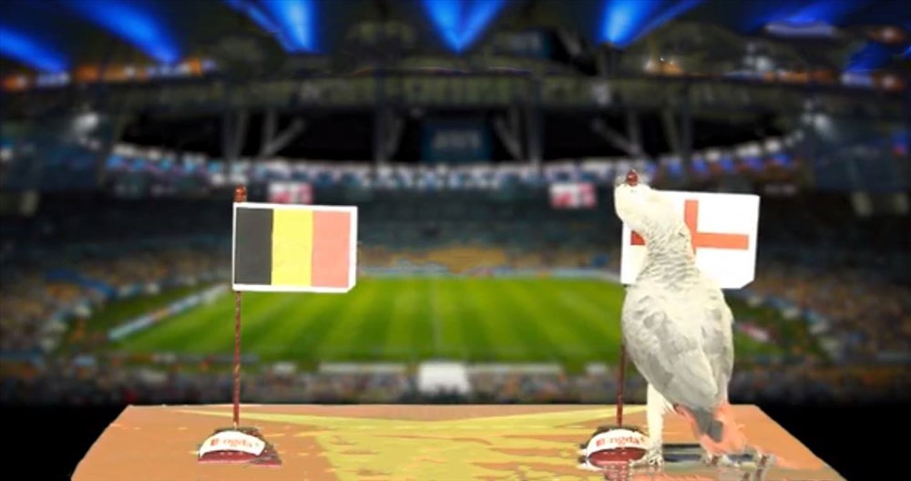 Dự đoán World Cup: Nhà tiên tri dự đoán kết quả sốc trận Anh - Bỉ tranh hạng ba - ảnh 4 Dự đoán World Cup: Nhà tiên tri dự đoán kết quả sốc trận Anh - Bỉ tranh hạng ba - ảnh 4