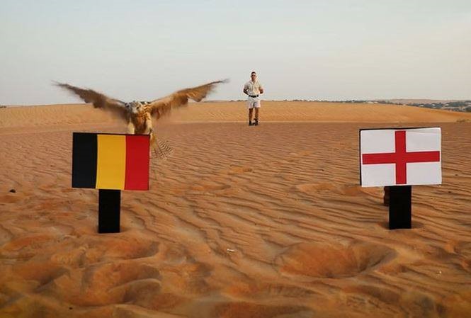 Dự đoán World Cup: Nhà tiên tri dự đoán kết quả sốc trận Anh - Bỉ tranh hạng ba - ảnh 5 Dự đoán World Cup: Nhà tiên tri dự đoán kết quả sốc trận Anh - Bỉ tranh hạng ba - ảnh 5