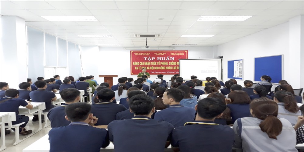 Toàn cảnh hội nghị tập huấn.
