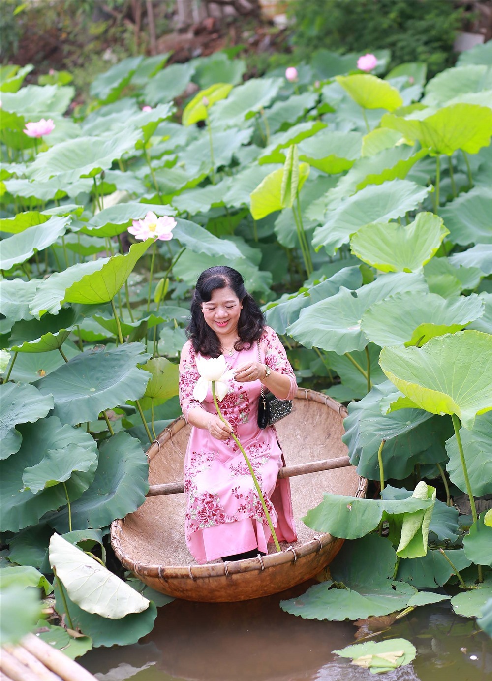 Rạng ngời bên hoa. Ảnh. Hoàng Huế