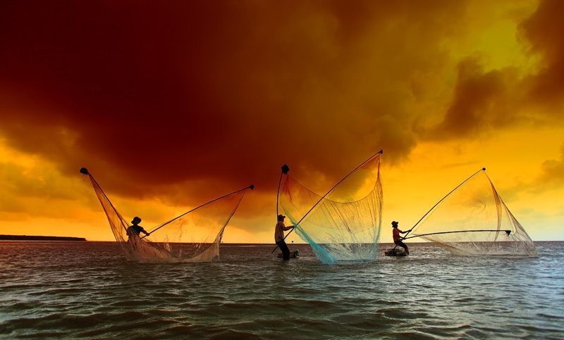 Những người dân miền Tây đánh bắt cá khi mùa nước về (nguồn ảnh: Mytour)