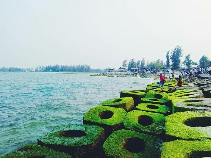 Tiếng sóng biển rì rào va vào những đập chắn, biển Hải Dương (nguồn ảnh: Mytour)
