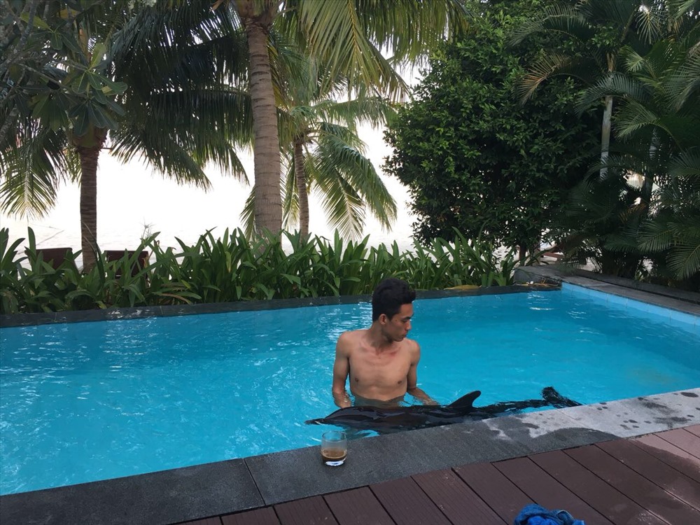 Cá heo tại bể bơi Vinpearl Nha Trang trước khi đưa vào Viện hải dương học ( Ảnh: Vingroup cung cấp)