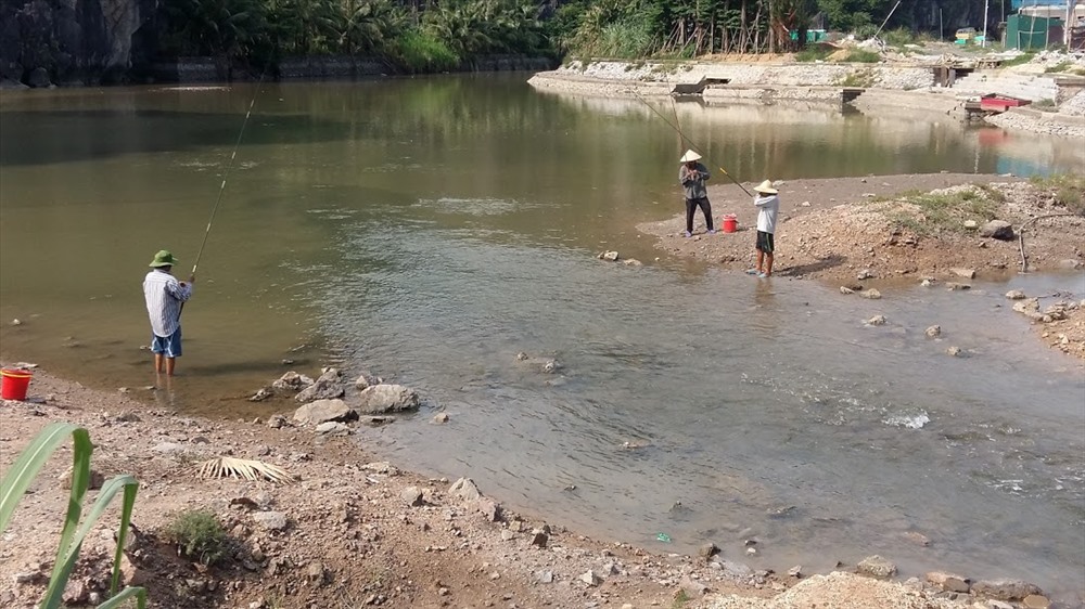 Trước đây khu vực cửa cống vào Hồ Cô Tiên có đủ các loài cá, nhưng do ô nhiễm nặng nên hiện chỉ còn cá rô phi mới sinh sống được. Ảnh: Nguyễn Hùng