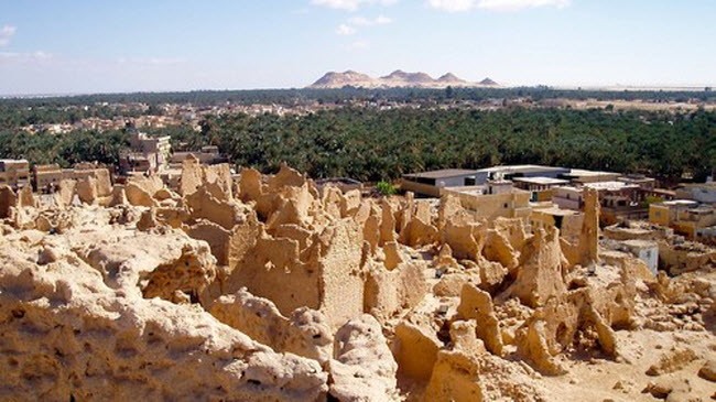 Ốc đảo Siwa nằm giữa sa mạc Sahara. Ảnh: 24h