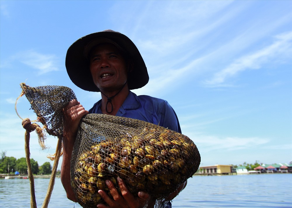 Thành quả sau nhiều giờ ngụm lặn. Sau khi trìa được bắt nhiều ngư dân đem đến thương lái để bán. Trung bình 1kg trìa bán cho thương lái khoảng 5 nghìn đồng.