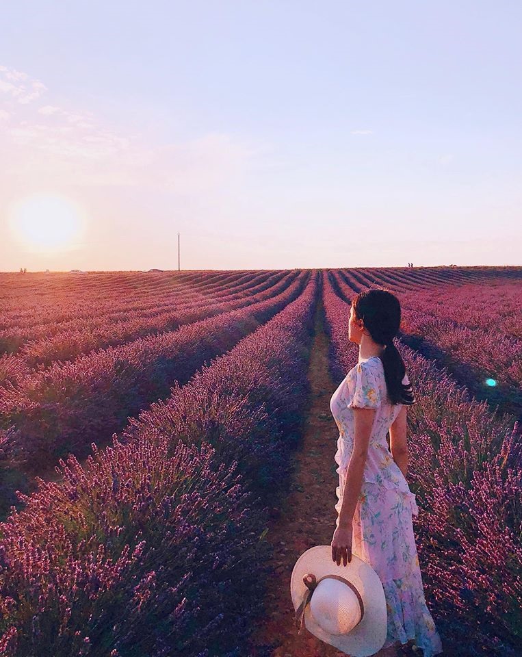 Những bức ảnh của Hương Giang được chụp ở Valensole - một địa danh thuộc vùng Provence của Pháp