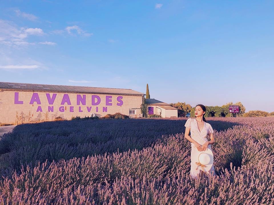 Valensole từ lâu đã nổi tiếng với những cánh đồng hoa Lavender trải dài bất tận
