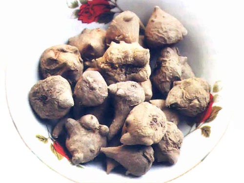 Bề ngoài giống củ ấu miền xuôi, nhưng là 2 loại hoàn toàn khác biệt.