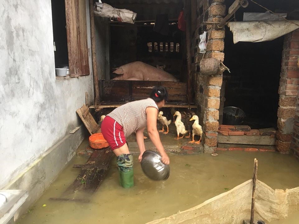 Sinh hoạt, chăn nuôi đều gặp khó khăn