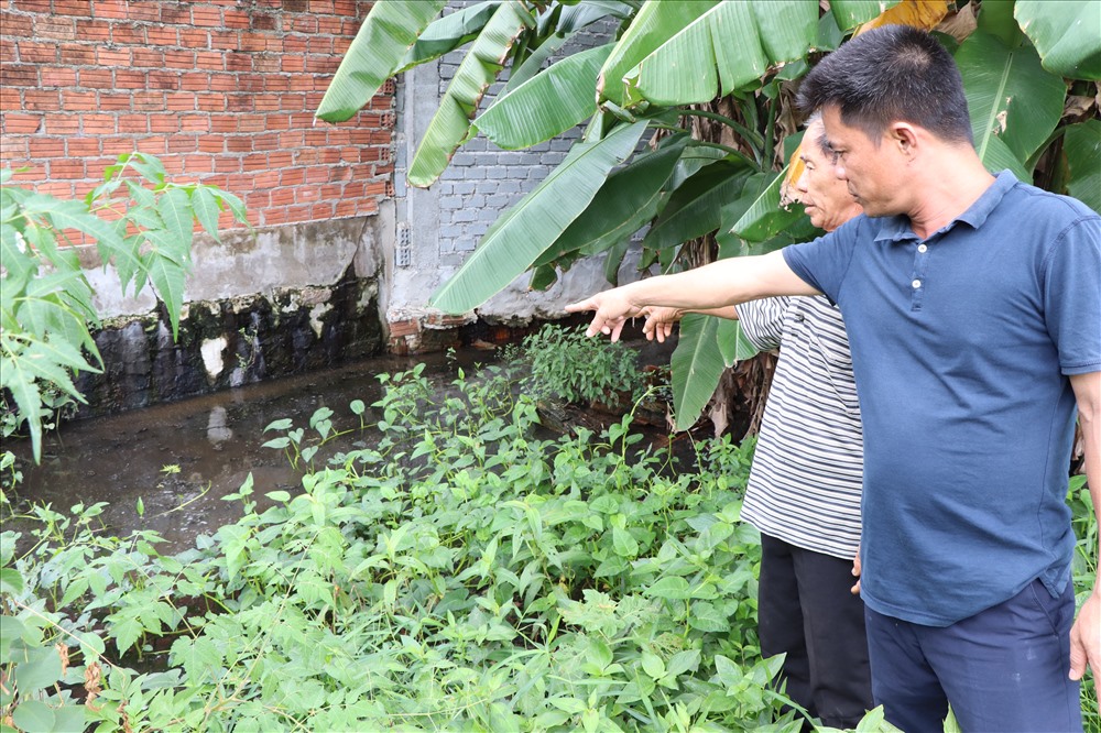 Nước thải từ trại heo. Ảnh: Đ.V