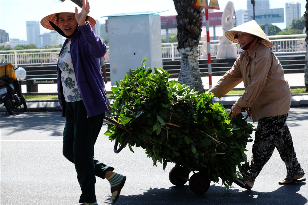 Oằn lưng làm việc bất chấp cái nắng