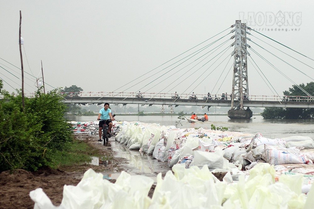 Những tải cát nhỏ bảo vệ sự an toàn cho hàng nghìn hộ dân khu vực xung quanh đê tả sông Bùi.