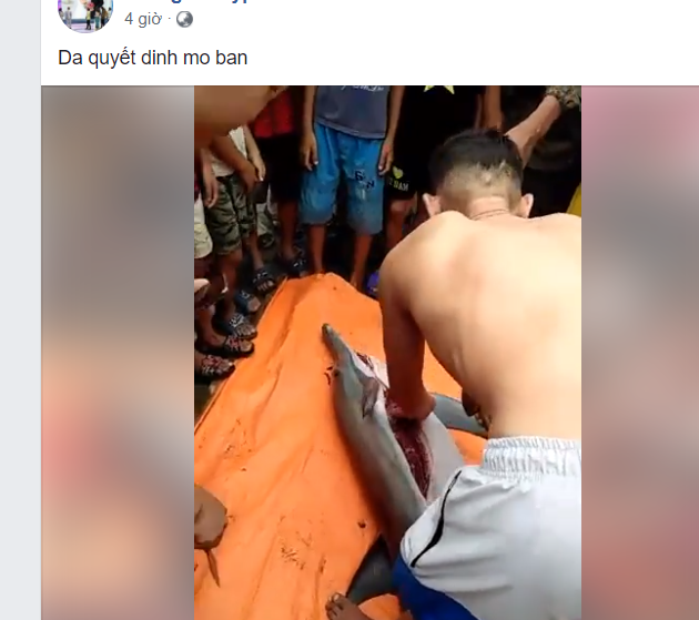 Mổ thịt cá heo để bán. Ảnh: Chụp màn hình