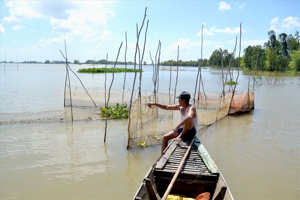 Lũ sớm tràn về, biến những cánh đồng lúa chưa có đê bao bảo vệ trở thành biển nước. Ảnh: Lục Tùng