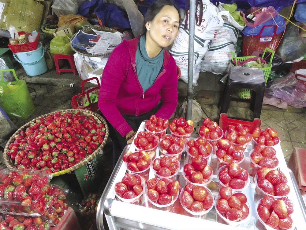 Và những trái dâu tươi mọng.