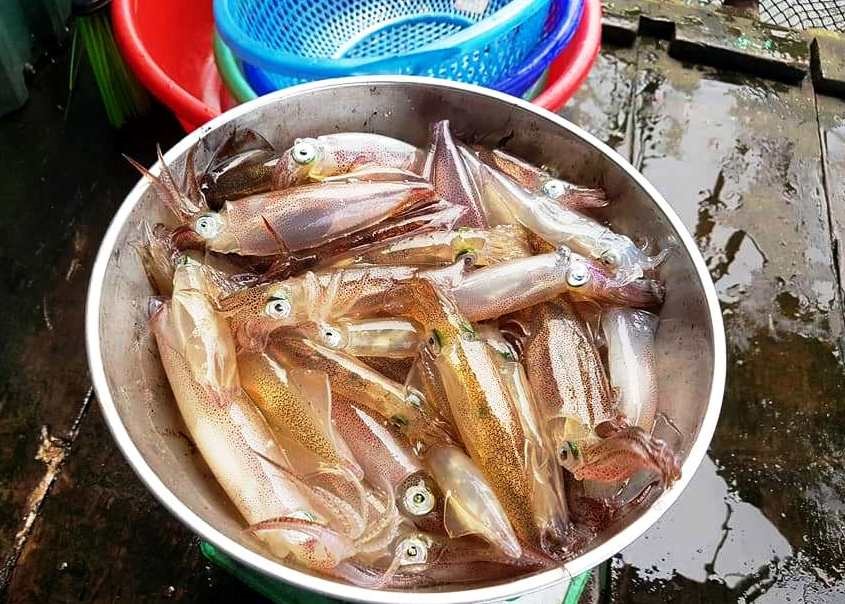 Những con mự Những con mực khi cất lên còn tươi rói, nhảy tanh táchc khi cất lên còn tươi rói, nhảy tanh tách