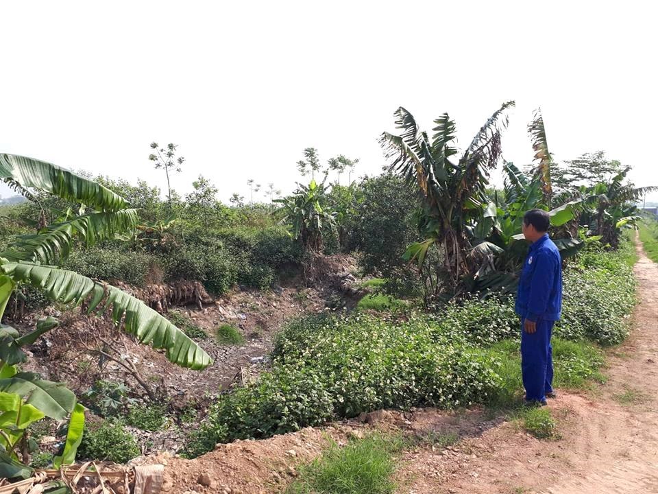 Trang trại này sẽ xả thải trực tiếp ra con mương này.