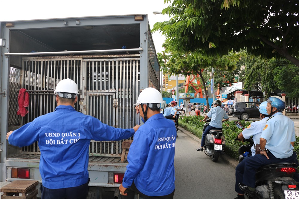 Sau khi bắt được chó, các thành viên trong đoàn nhanh chóng bỏ chó vào xe và khóa cửa lại. Ảnh H.C