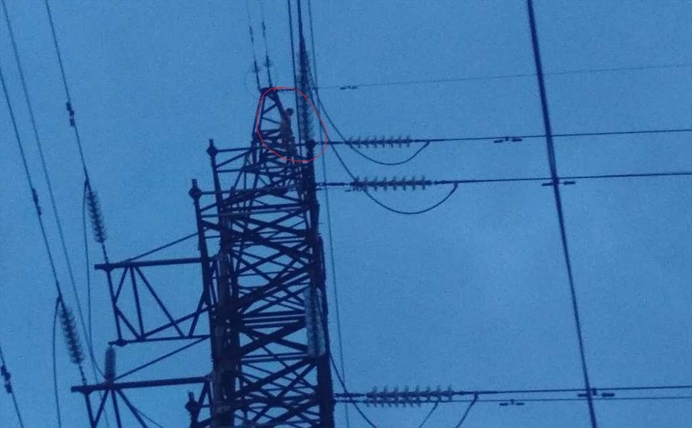 Người đàn ông bất ngờ leo cột điện cao thế