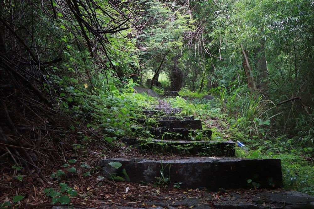 Cung đường bộ dành cho những ai thích khám phá vẻ đẹp của rừng già