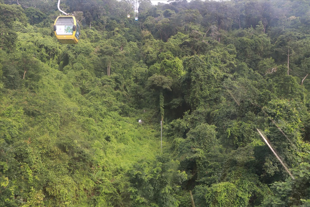 Nếu không leo bộ, du khách chỉ mất 15 phút đi cáp treo nhưng vẫn có thể ngắm núi rừng Tà Cú từ trên cao